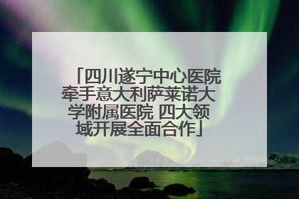 四川遂宁中心医院牵手意大利萨莱诺大学附属医院 四大领域开展全面合作