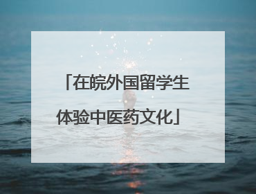 在皖外国留学生体验中医药文化