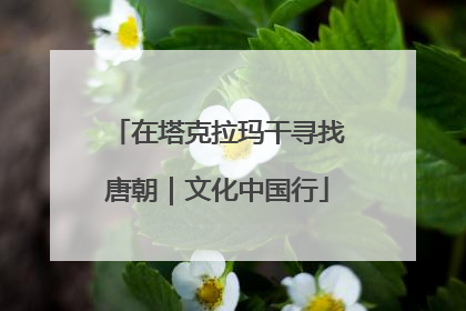 在塔克拉玛干寻找唐朝｜文化中国行