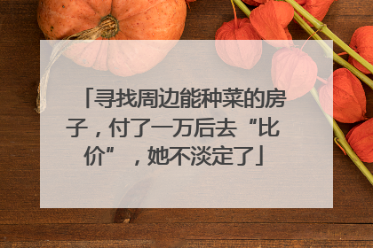 寻找周边能种菜的房子，付了一万后去“比价”，她不淡定了