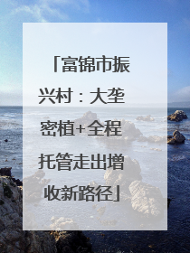 富锦市振兴村：大垄密植+全程托管走出增收新路径