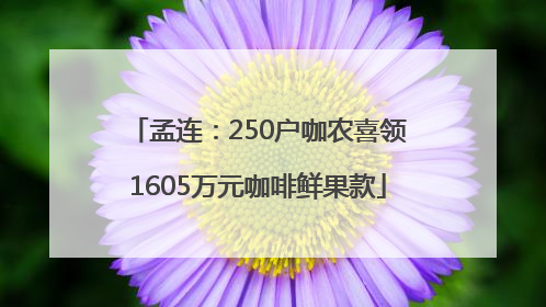 孟连：250户咖农喜领1605万元咖啡鲜果款