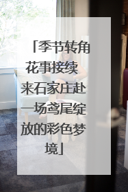 季节转角花事接续 来石家庄赴一场鸢尾绽放的彩色梦境