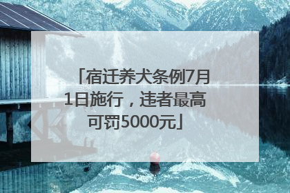 宿迁养犬条例7月1日施行，违者最高可罚5000元