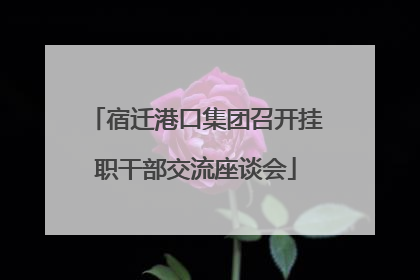 宿迁港口集团召开挂职干部交流座谈会