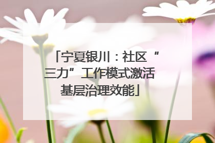 宁夏银川：社区“三力”工作模式激活基层治理效能