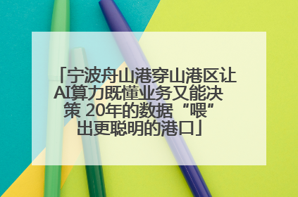 宁波舟山港穿山港区让AI算力既懂业务又能决策 20年的数据“喂”出更聪明的港口