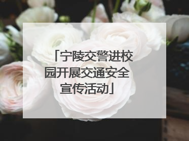 宁陵交警进校园开展交通安全宣传活动