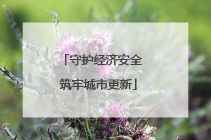 守护经济安全 筑牢城市更新