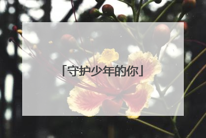 守护少年的你