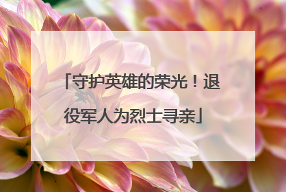 守护英雄的荣光！退役军人为烈士寻亲