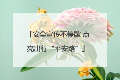 安全宣传不停歇 点亮出行“平安路”