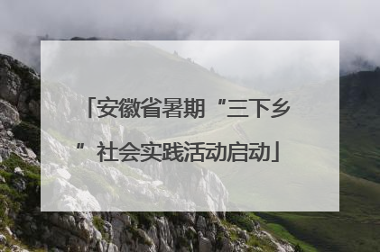 安徽省暑期“三下乡”社会实践活动启动