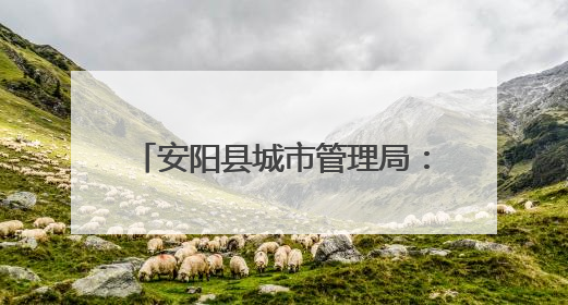 安阳县城市管理局：大力开展露天烧烤及餐饮油烟整治工作