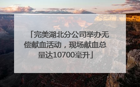 完美湖北分公司举办无偿献血活动，现场献血总量达10700毫升