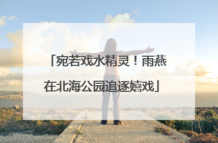 宛若戏水精灵！雨燕在北海公园追逐嬉戏