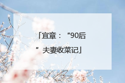 宜章：“90后”夫妻收菜记