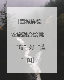 宣城旌德：农旅融合绘就“莓”好“蓝”图