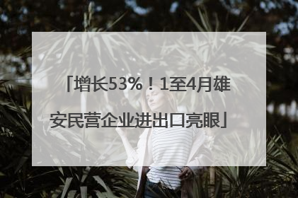 增长53%！1至4月雄安民营企业进出口亮眼