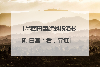 墨西哥国旗飘扬洛杉矶 白宫：看，罪证