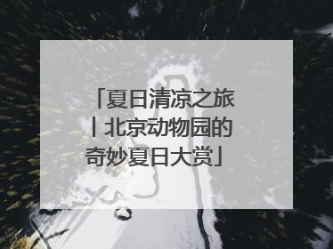 夏日清凉之旅丨北京动物园的奇妙夏日大赏