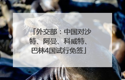外交部：中国对沙特、阿曼、科威特、巴林4国试行免签