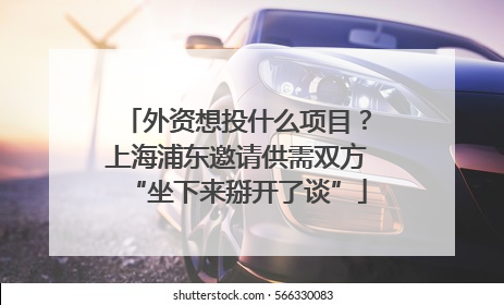 外资想投什么项目？上海浦东邀请供需双方“坐下来掰开了谈”