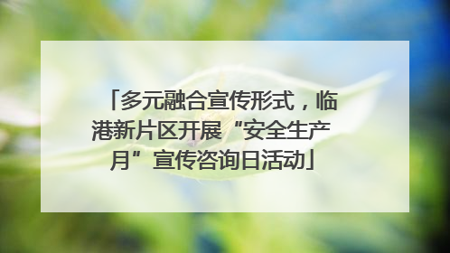 多元融合宣传形式，临港新片区开展“安全生产月”宣传咨询日活动