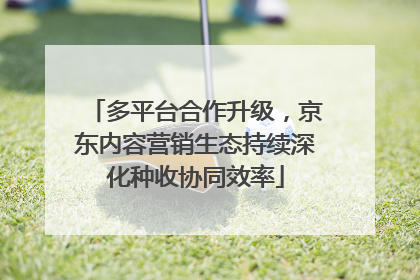 多平台合作升级，京东内容营销生态持续深化种收协同效率