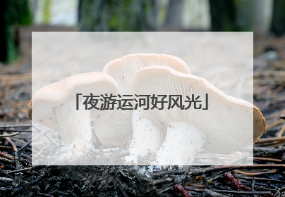 夜游运河好风光