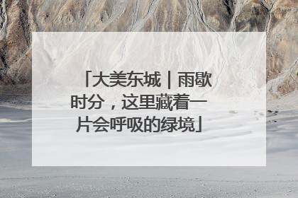 大美东城｜雨歇时分，这里藏着一片会呼吸的绿境