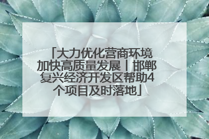 大力优化营商环境 加快高质量发展丨邯郸复兴经济开发区帮助4个项目及时落地