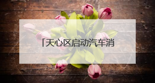 天心区启动汽车消费节，最高可领4000元购车补贴