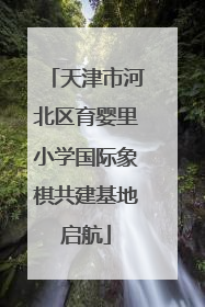 天津市河北区育婴里小学国际象棋共建基地启航