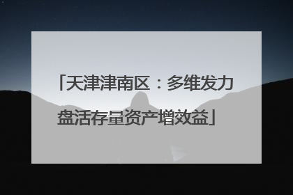 天津津南区：多维发力盘活存量资产增效益