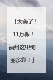 太美了！11万株！福州这里绚丽多彩！