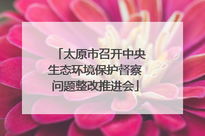 太原市召开中央生态环境保护督察问题整改推进会