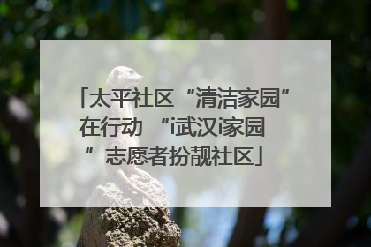 太平社区“清洁家园”在行动 “i武汉i家园”志愿者扮靓社区