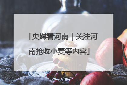 央媒看河南｜关注河南抢收小麦等内容