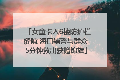 女童卡入6楼防护栏缝隙 海口辅警与群众5分钟救出获赠锦旗