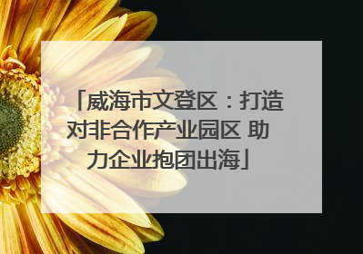 威海市文登区：打造对非合作产业园区 助力企业抱团出海