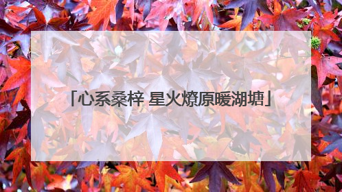 心系桑梓 星火燎原暖湖塘