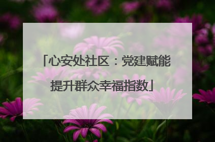 心安处社区：党建赋能 提升群众幸福指数