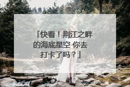 快看！荆江之畔的海底星空 你去打卡了吗？