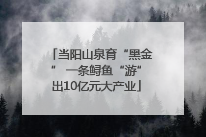 当阳山泉育“黑金” 一条鲟鱼“游”出10亿元大产业