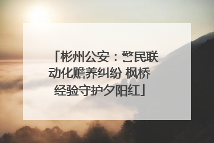 彬州公安：警民联动化赡养纠纷 枫桥经验守护夕阳红