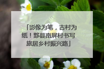 影像为笔，古村为纸！黟县南屏村书写旅居乡村振兴路