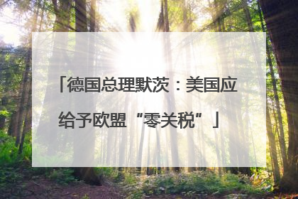 德国总理默茨：美国应给予欧盟“零关税”