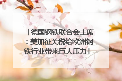 德国钢铁联合会主席：美加征关税给欧洲钢铁行业带来巨大压力