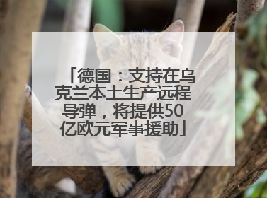 德国：支持在乌克兰本土生产远程导弹，将提供50亿欧元军事援助
